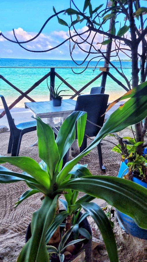 Hostal بلايا بلانكا المظهر الخارجي الصورة